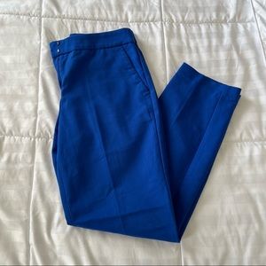 Express Dress Pant